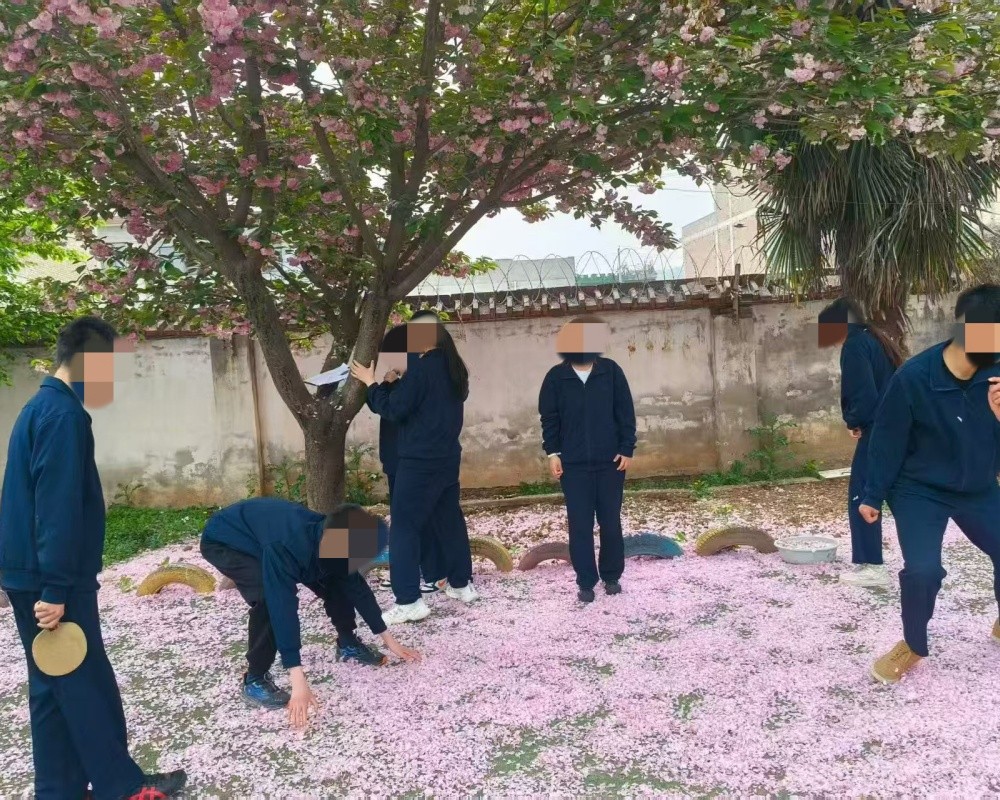 1776232481932830.jpg e00764ffd74125a742b85e2cb7242d68_副本.jpg