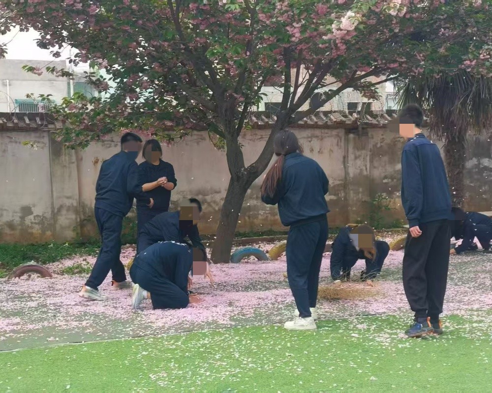 1776232518787049.jpg dd9be3ccc8d554e6b9b3d6522192b706_副本.jpg